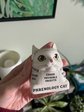 Phrenology Cat Figurine Ceramic Collectible - Cream Cat